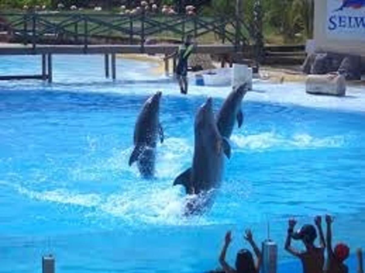 "Vive Benal Beach" Estudio 2501, Vistas Al Mar Y Parque Acuatico Benalmádena Kültér fotó